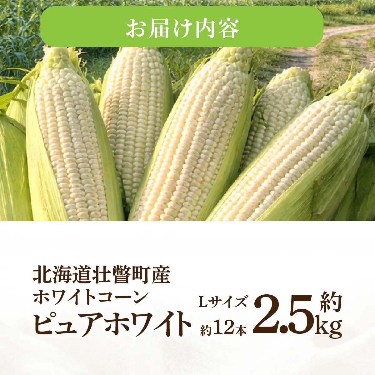 ＜2026年8月中旬よりお届け＞【朝採り】北海道壮瞥町産 ホワイトコーン「ピュアホワイト」Lサイズ以上6本（約2.5kg） SBTQ004