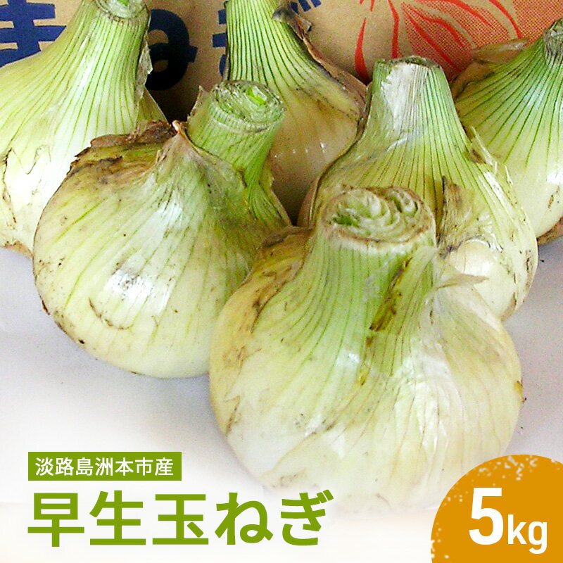 【ふるさと納税】ふれあい市の会 早生玉ねぎ 5kg 淡路島 玉ねぎ タマネギ 兵庫県 洲本市 淡路島 　お届け：2026年4月中旬～2026年6月中旬