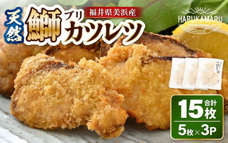 
            天然！美浜町産「日向ぶり」 ぶりカツ 約450g（約150g × 3袋） [m36-a009]
          