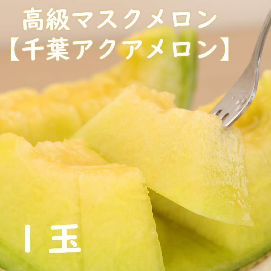 【ふるさと納税】高級マスクメロン　千葉アクアメロン　1玉　2L〜3Lサイズ　千葉県産　化粧箱入り　生産者直送　2024年春以降発送