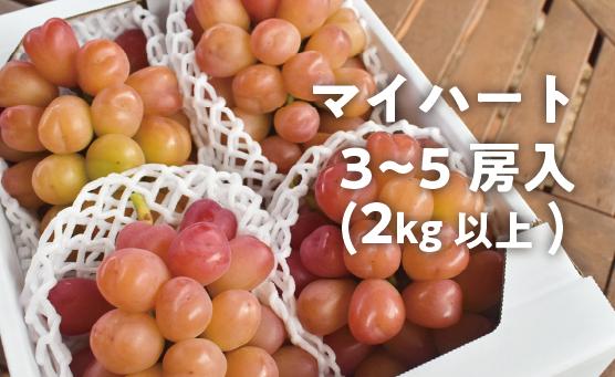 
            KF-B052-02【きよとうファーム】ハートの形が可愛い！マイハート3-5房/計2.0kg~ (岡山県産)
          