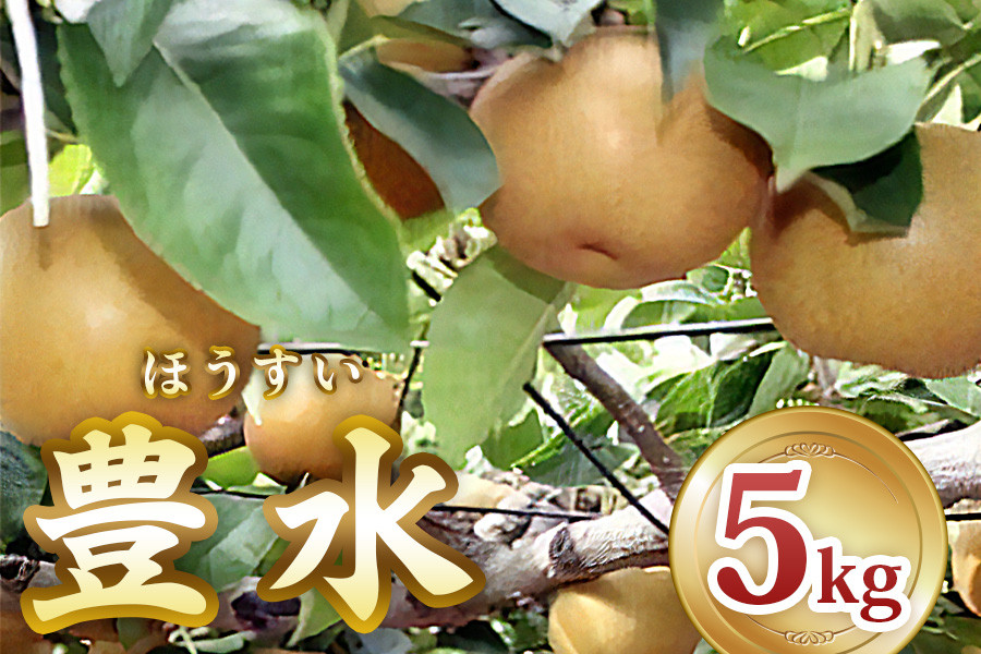 
                  [2025年8月から発送] 印西の梨 豊水｜梨 ナシ フルーツ 果物 スイーツ 先行予約 [0426]
                