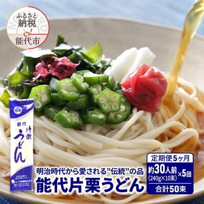 ふるさと納税 能代市 定期便 5回 能代片栗うどん 240g(約3人前) 10束 なべや製麺[No.5335-1352]