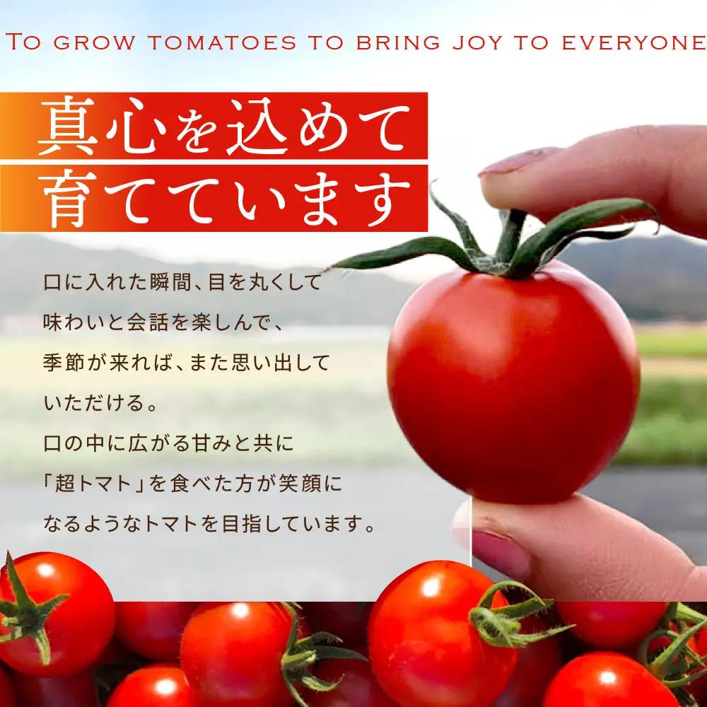 出雲の國からの贈り物～超トマト１kg＆超トマトジュース２本