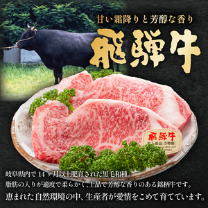 飛騨牛ＢＢＱセット ・カルビ350ｇ ・もも かた肉 焼き肉用350ｇ【0016-022】