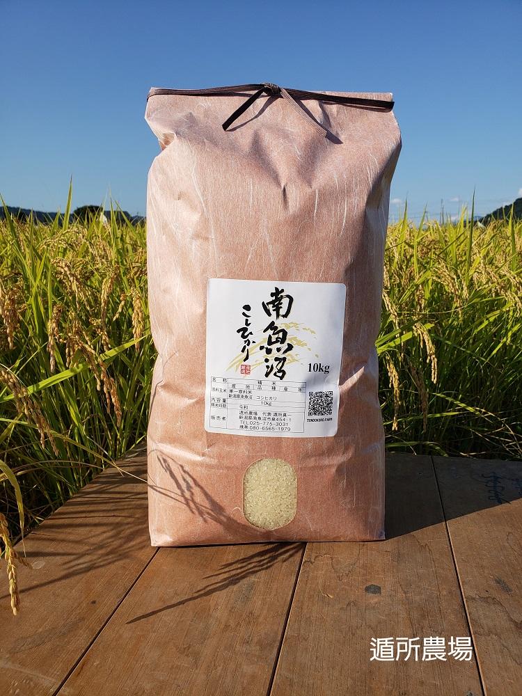 【令和8年産新米予約】南魚沼産コシヒカリ　白米１０ｋｇ【2026年10月中旬から1ヶ月以内に順次発送予定】