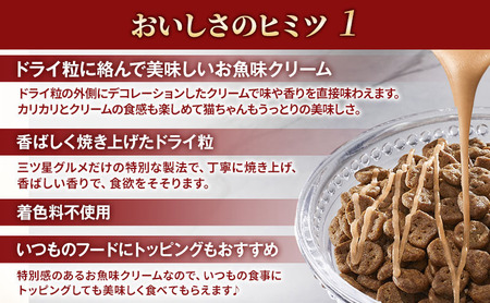 【定期便3回】銀のスプーン三ツ星グルメ お魚クリームまぐろ・かつお味 180g×6箱 3ヶ月連続お届け ペットフード キャットフード 猫のごはん 猫用フード 猫 ペット