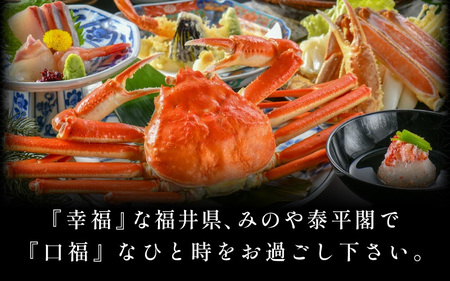 あわら温泉 宿泊利用券 6,000円分 ／ 宿泊券 利用券 旅館 ホテル チケット ペア 観光 旅行 源泉 大浴場 露天風呂 [aw013-b007]