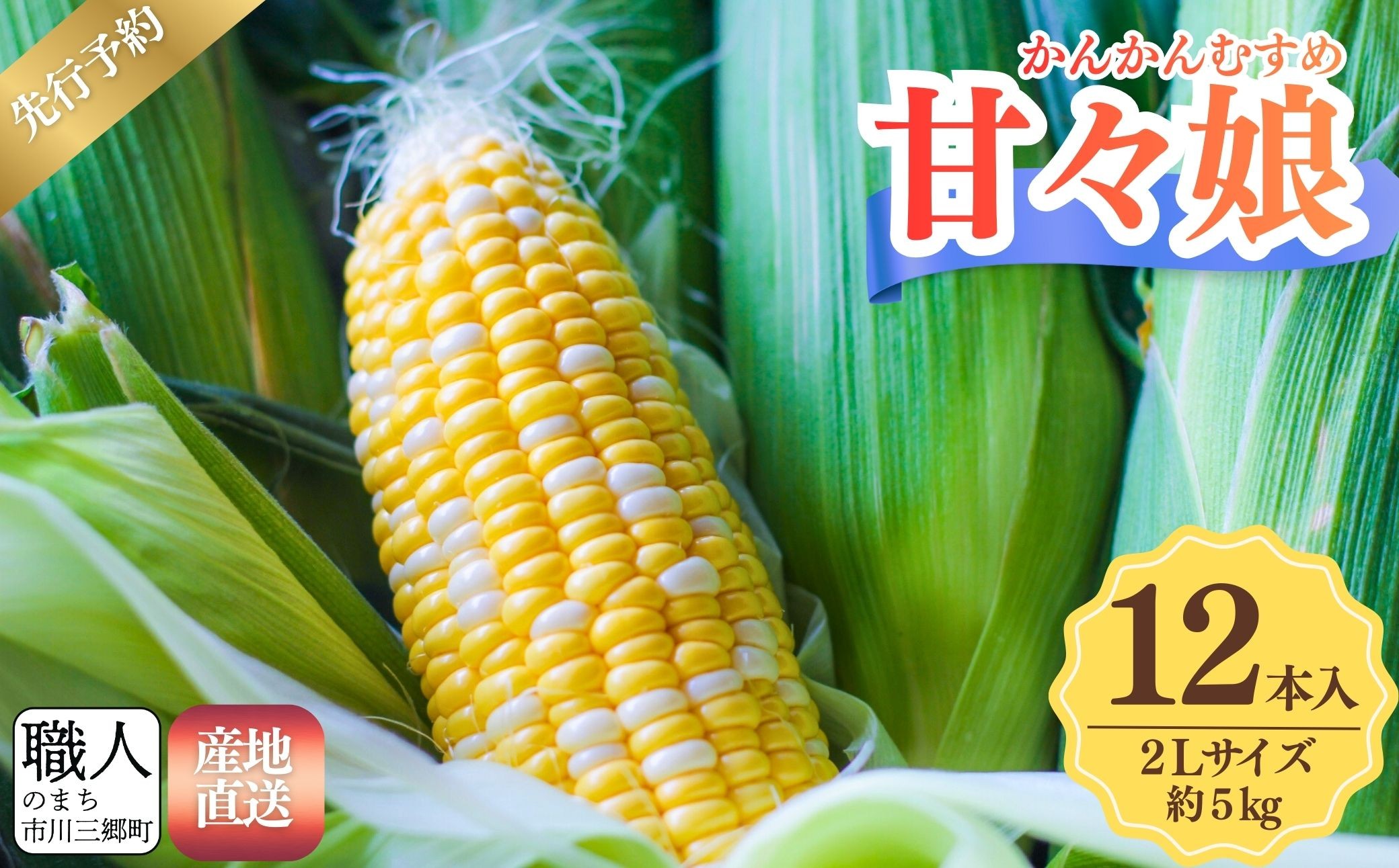 
                  【先行予約】甘々娘 とうもろこし ２Lサイズ 12本入り【2027年6月上旬から発送】イチマル農園 ｜ 人気 人気品種 トウモロコシ スイートコーン BBQ バーベキュー 焼き 茹で 夏野菜 野菜 高糖度 糖度 甘い 産地直送 新鮮 採れたて 朝採れ 贈答  特産品 山梨県 山梨 市川三郷町 市川三郷 [5839-2329]
                