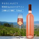 【ふるさと納税】 ワイン ロゼ 甲州 33品種のぶどうを使用 特別 仕込み 1本 720ml ラベルレス ロゼワイン 甘口 菱山中央醸造 ギフト 限定 贈答品 山梨県 甲州市 （VYD） 【B-937】