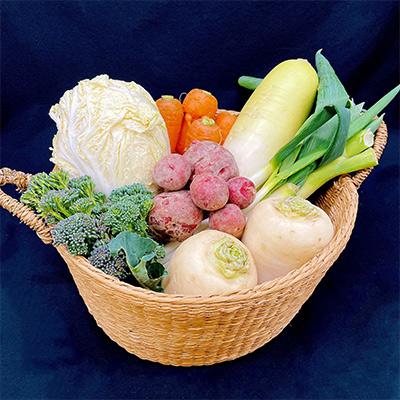 ふるさと納税 掛川市 【毎月定期便】【フードロス対応・規格外野菜利用】　オーガニック野菜　シェフSセット全12回 |  | 01