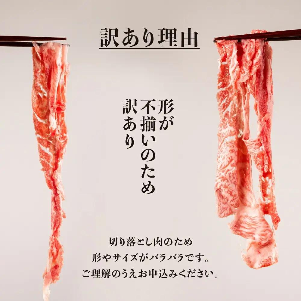 飛騨牛 牛肉 切り落とし 1kg 小分け（250g×4p）  [s933] 切り落とし