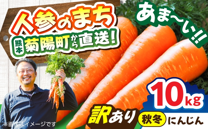 
                  【先行予約】【12月中旬より順次発送】【訳あり】菊陽秋冬にんじん 約10kg (訳あり) / にんじん 菊陽にんじん 西洋にんじん ニンジン 人参 野菜 熊本 菊陽 わけあり 【マツモト：ファーム】 [BHDH012]
                