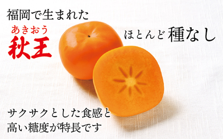 【2024年10～11月発送】秋のフルーツの王様・ブランド柿「秋王」約3.5kg[E2321a]