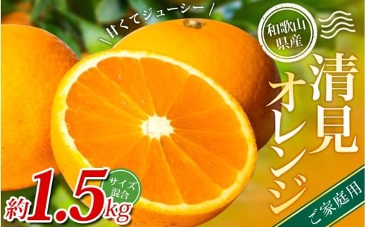 
                  【ご家庭用】手選別 清見オレンジ 約1.5kg 和歌山県産 2S~2Lサイズ混合※2026年2月上旬～6月上旬頃に順次発送【mrmt021A】
                