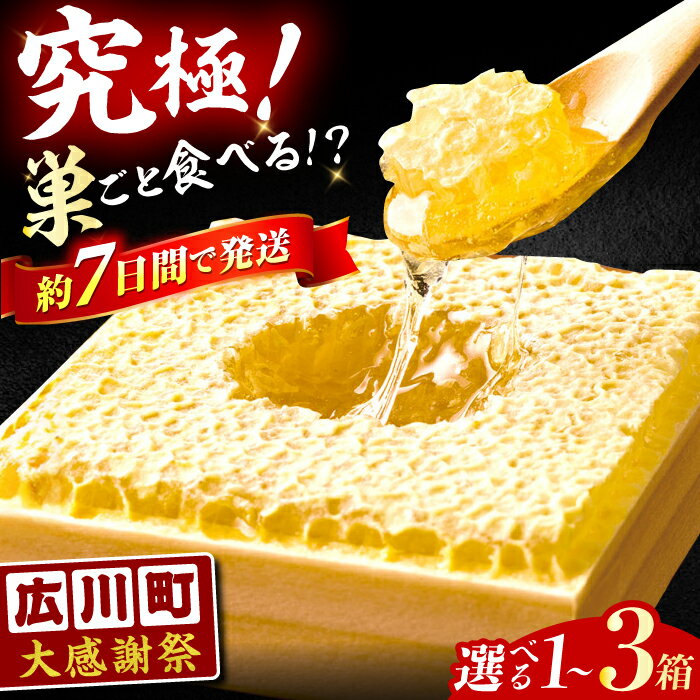 【ふるさと納税】【大感謝祭：寄附額見直し】【選べる容量】はちみつ 国産 巣みつ 300g-900g 蜂蜜 ハチミツ スピード発送 贈答 ギフト 広川町 / 株式会社九州蜂の子本舗[AFAI004]