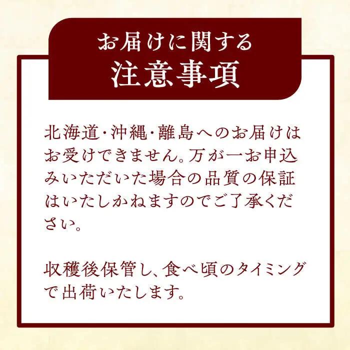 【12月上旬発送開始】愛宕梨 約3kg (3玉-5玉) / 梨 なし ナシ フルーツ[AFAR025]