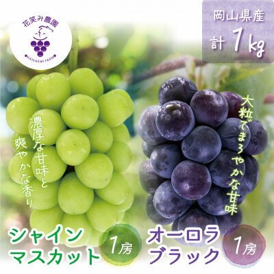 【ふるさと納税】岡山　花笑み農園の『オーロラブラック&シャインマスカット』1kg AS-1【配送不可地域：離島】【1693690】