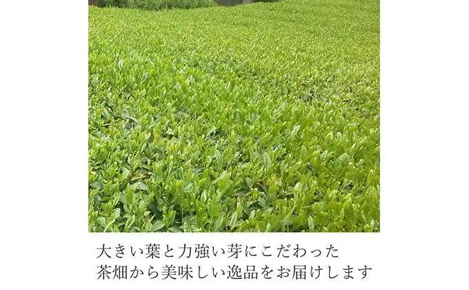 静岡 本山茶 1缶130g（特製木箱入り）◇