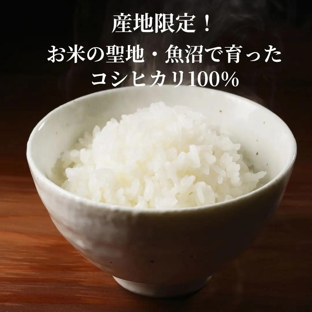 パックご飯 魚沼産コシヒカリ 30個 たかの | パックご飯 炊きたて食感 ふっくら 新潟県 小千谷市