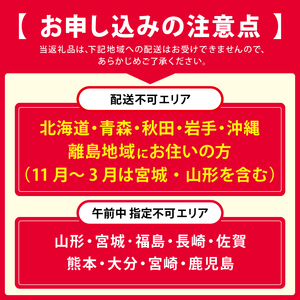 柿の葉ずし(24個入り) 鯖・鮭 各12個《和楽路屋田中》