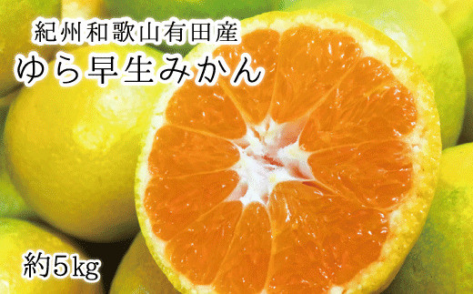 
            紀州和歌山有田産ゆら早生みかん 5㎏　※2025年10月中旬頃～2025年10月末頃順次発送（お届け日指定不可）【uot721】
          