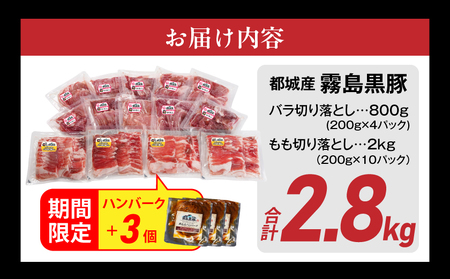 家計応援キャンペーン!霧島黒豚バラ&もも切り落とし2.8kgセット+ハンバーグ_AC-2803-CP_(都城市) 霧島黒豚 バラ もも 切り落とし 200g 小分け 煮込みハンバーグ デミグラスソース