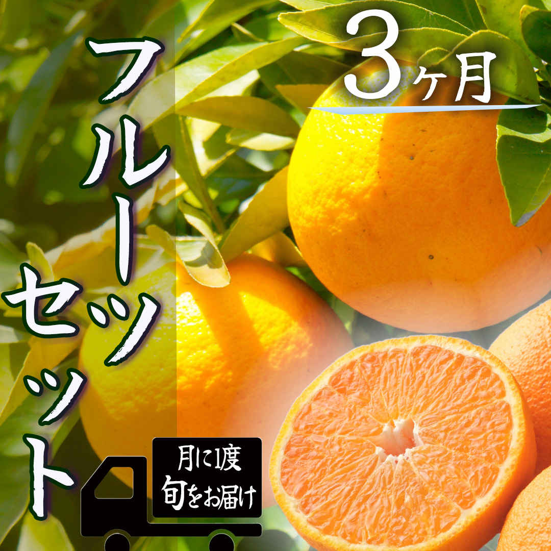 湯の花　旬のフルーツセット３か月間の定期便　【みかん 果物 フルーツ 旬 柑橘 甘い 新鮮 定期便】