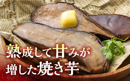 【全12回定期便】孝行芋 焼き芋 12袋  対馬 やきいも 甘い おやつ スイーツ [WAI056]