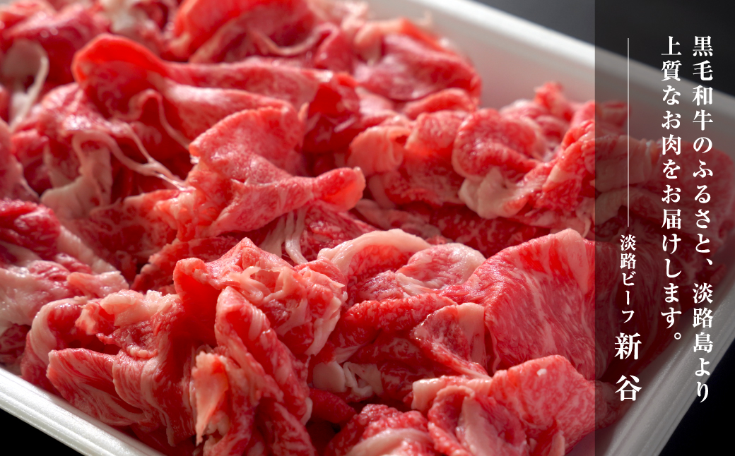 淡路ビーフ きりおとし 600g【お届け日指定返礼品】　[牛肉 切り落とし 黒毛和牛 冷蔵 おすすめ]