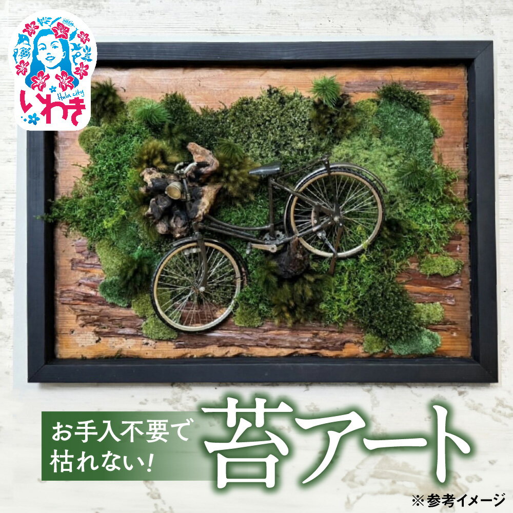 【ふるさと納税】苔アート | 苔 アート インテリア 壁掛け おしゃれ モスアート グリーンアート 室内緑化 癒し 観賞用 手入れ不要 長持ち プリザーブド 新築祝い 開店祝い ギフト プレゼント 人気 送料無料 | DE025