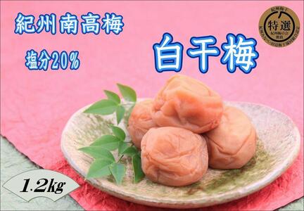 訳あり 【家庭用】紀州南高梅　白干梅　1.2kg