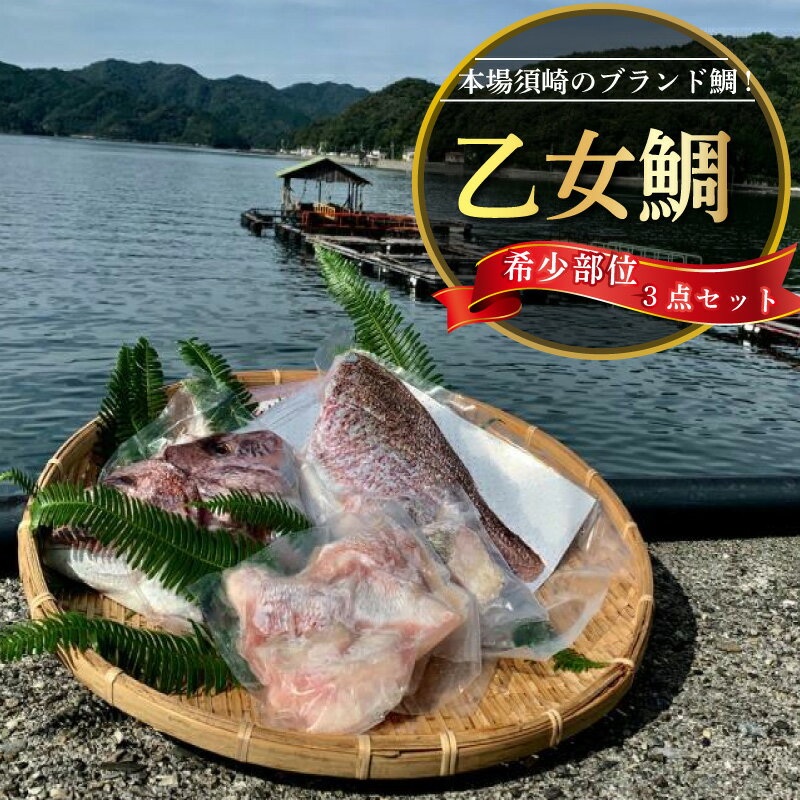 【ふるさと納税】 乙女鯛 セット 希少部位 カマ 頭 フィーレ 3点セット 【 冷凍 】 お手軽 簡単 おかず 鯛 魚介類 須崎市