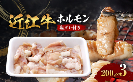 近江牛 ホルモン 塩だれ付き 200ｇ×３ (真空冷凍パック入り)