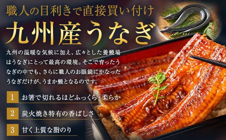 うなぎ 2尾  国産 タレ付 鰻《3-7日以内に出荷予定(土日祝除く)》