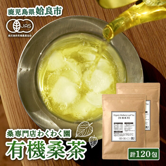 【ふるさと納税】国産！わくわく園有機桑茶・計120包(2g×60包・2袋)桑の葉 有機 桑茶 桑 桑の葉茶 お茶 ティーバッグ ティーパック ノンカフェイン くわ 茶 九州産【わくわく園】