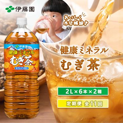 ふるさと納税 恵庭市 『定期便:全11回』健康ミネラルむぎ茶2L×6本×2箱【50002301】