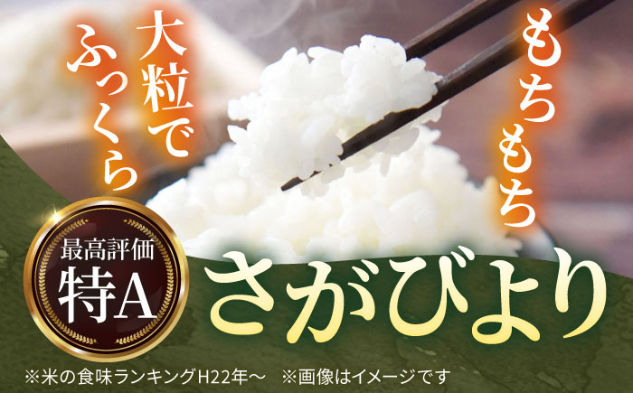 【令和7年10月以降発送】【令和7年度産】しろいしもりのお米 さがびより 2kg【Sunrise328】米 お米 白米 [ICD008]