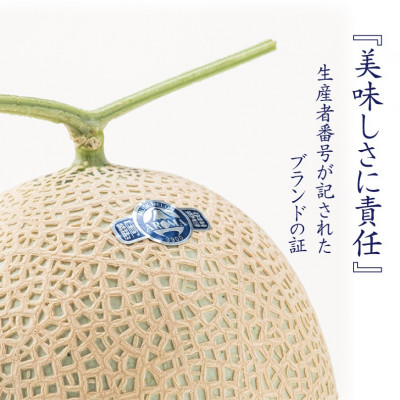 【訳あり高級メロン】アローマメロン　1玉入【通年出荷】【配送不可地域：離島・北海道・沖縄県】