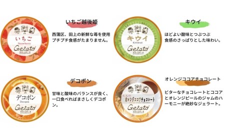 [春期限定]果樹園のジェラートセレクト春セレクト2 [12種×各1個] 合計12個セット ジェラート詰合せ アイス詰合せ ジェラートセット アイスセット 濃厚ジェラート  [田沢農園] 【019S04