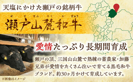 瀬戸山麓和牛希少部位ステーキセット500g以上 / 牛肉 お肉 国産 冷凍  [BBBQ045]
