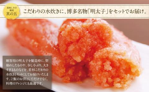 【8/19寄附額改定】福岡の名物添え!!博多若杉 水炊き(4～5人前)＆明太子セット