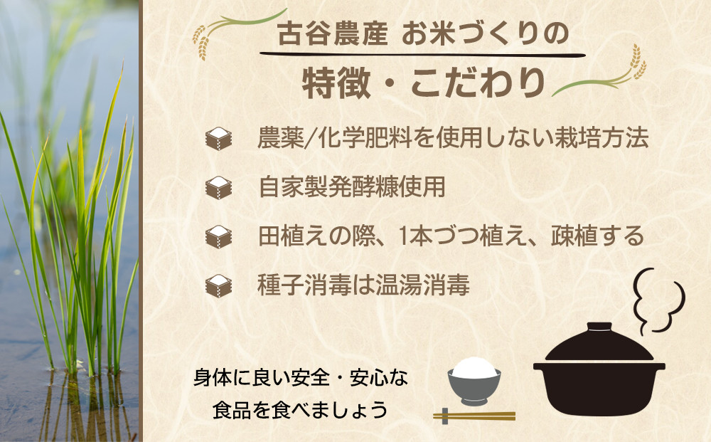 【令和7年産米 数量限定】古谷農産の無農薬・無化学肥料で栽培したコシヒカリ（玄米2キロ） ｜米 コメ 新米 2kgコシヒカリ こしひかり 農家直送 産地直送 産直