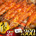 【ふるさと納税】★4.8 うなぎ 鰻楽 宮崎県産 2尾 レビューキャンペーン 計360g 蒲焼 タレ山椒付き ハーブ[鰻楽 宮崎県 日向市 452060537] 真空パック 国産 蒲焼き 長焼き ウナギ 鰻 長蒲焼 冷凍 化粧箱入り 贈答 日向坂 日向坂46駅記念