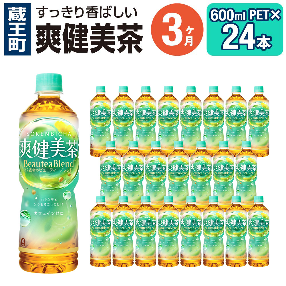 【3か月連続お届け】爽健美茶　600ml PET×24本　【04301-0028】