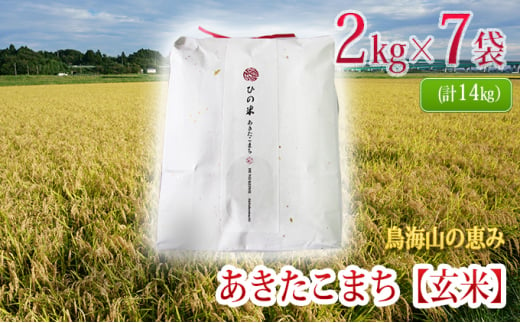 
秋田県産 あきたこまち 玄米 14kg（2kg×7袋）神宿る里の米「ひの米」（お米 小分け）
