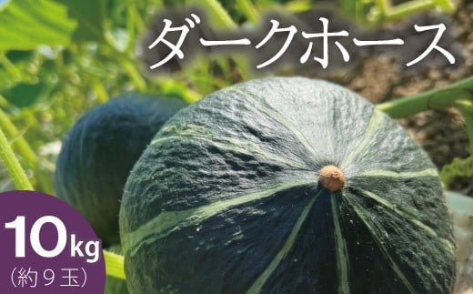 【2026年産先行受付】かぼちゃ10kg　北海道当麻町産ダークホース