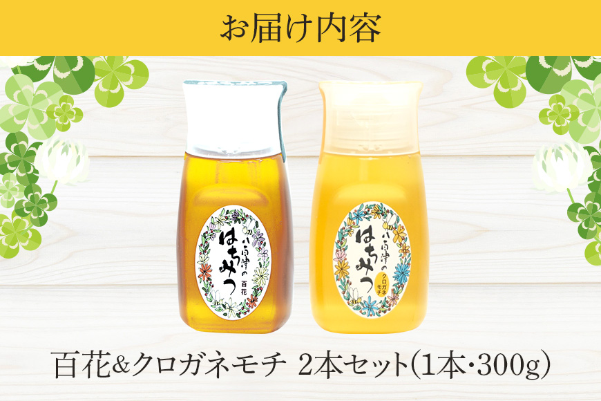 使いやすいプラ容器入り 非加熱生はちみつ 百花 クロガネモチ 各300g 計2本 純粋生はちみつ 食べ比べ