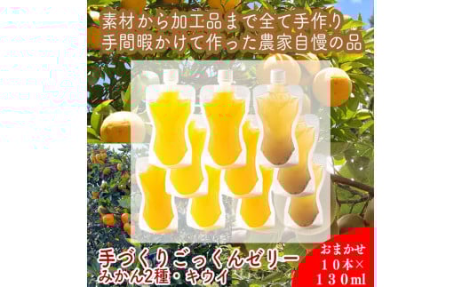 
            手づくりごっくんゼリー 10本セット 130ml みかん２種（グラニュー糖と粗糖）、 キウイ（グラニュー糖）【 家庭用 自宅用 贈答品 贈答用 ギフト お取り寄せ お中元 お歳暮 贈り物 お祝い 神奈川県 小田原市 】
          