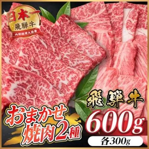 飛騨牛　おまかせ焼肉2種セット約600g(各約300g)訳あり【配送不可地域：離島】【1738939】